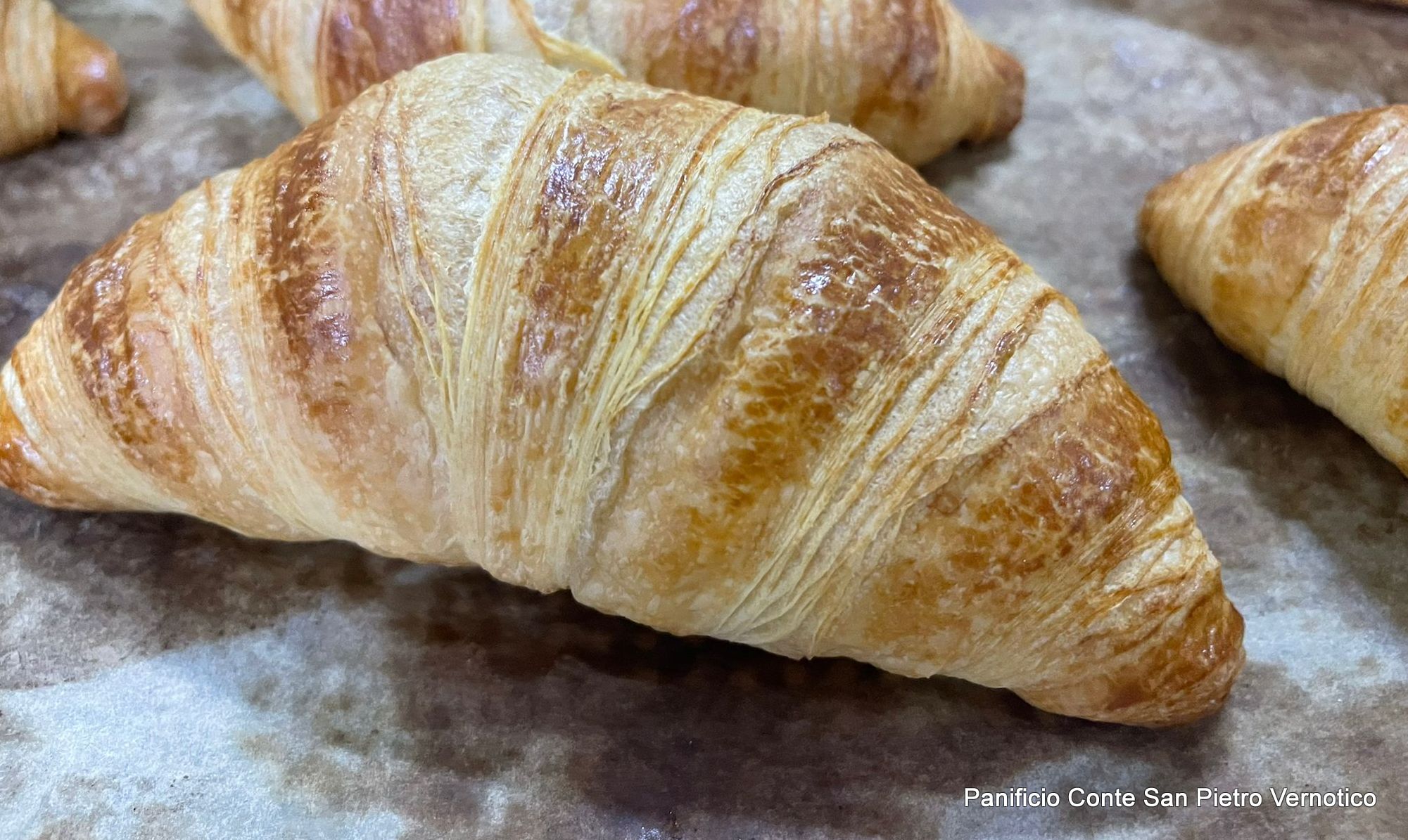 Panificio Conte - Specialità e Laboratorio 7